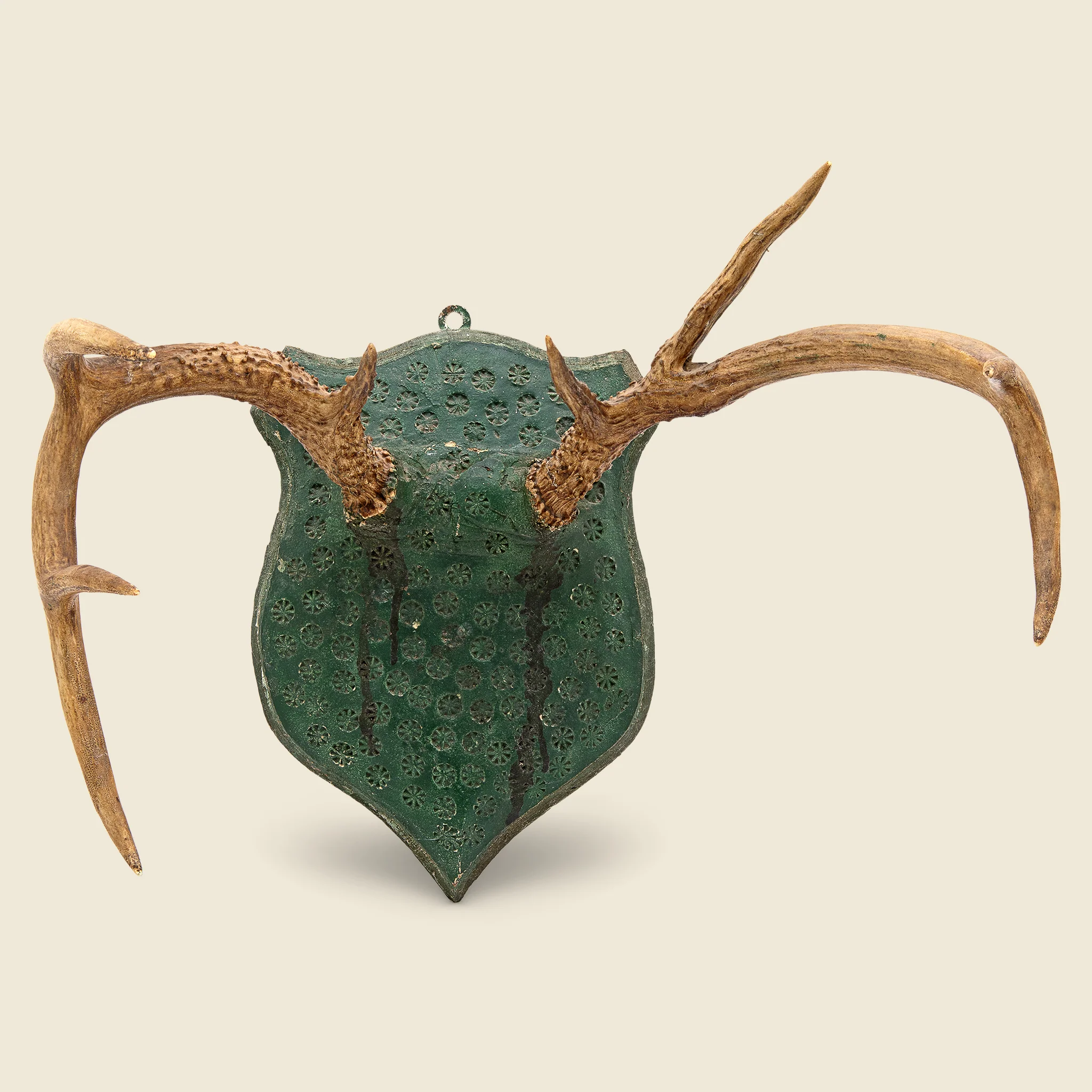 1940s Antler Mount #1