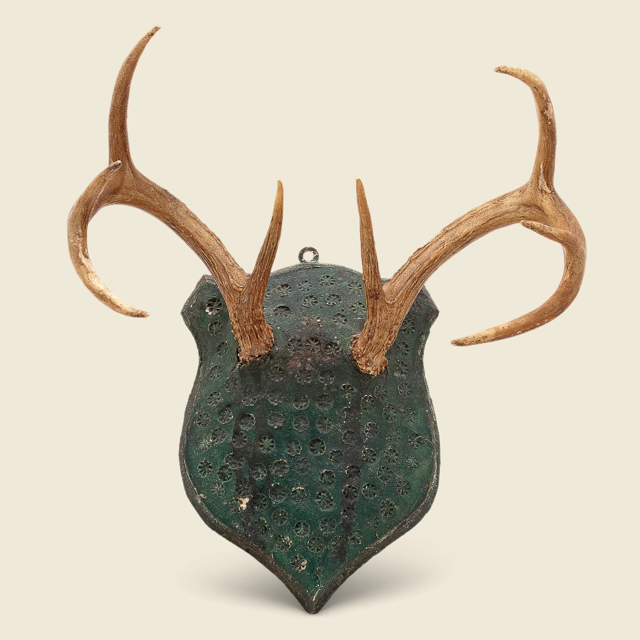 1940s Antler Mount #2