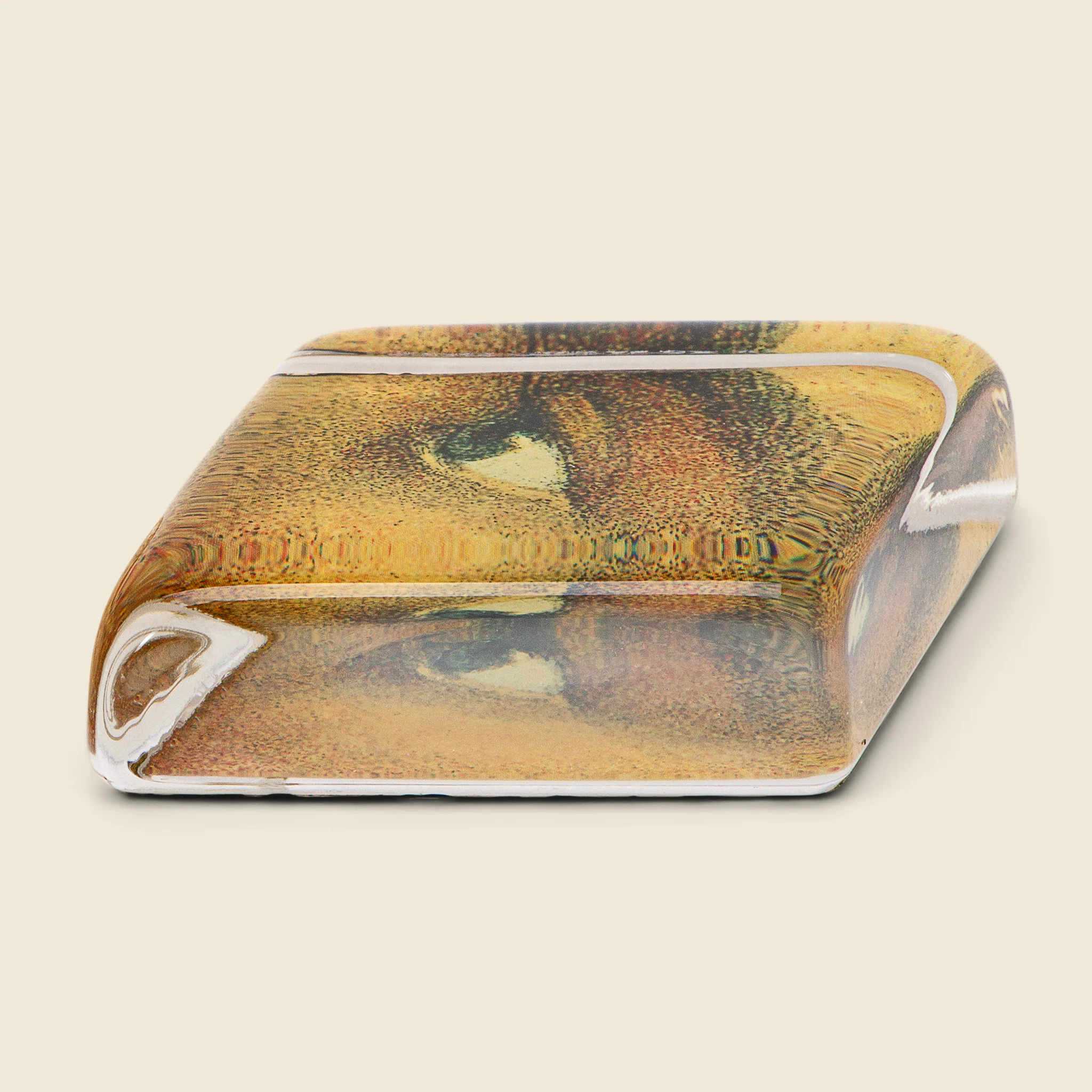 A Man's Left Eye Diamond Paperweight - Image 2