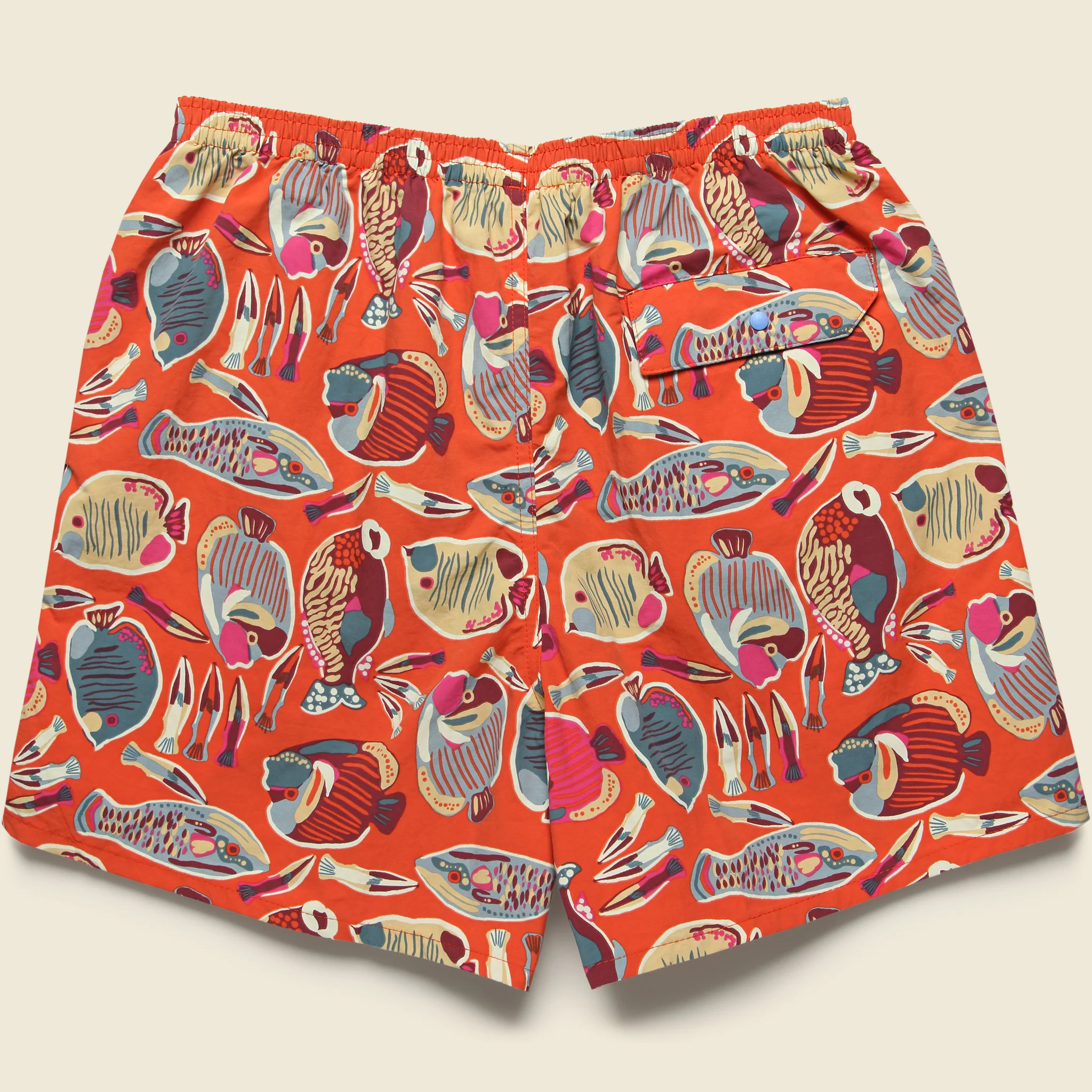 5" Baggies Shorts - Wrasse Pollinator Orange - Image 3