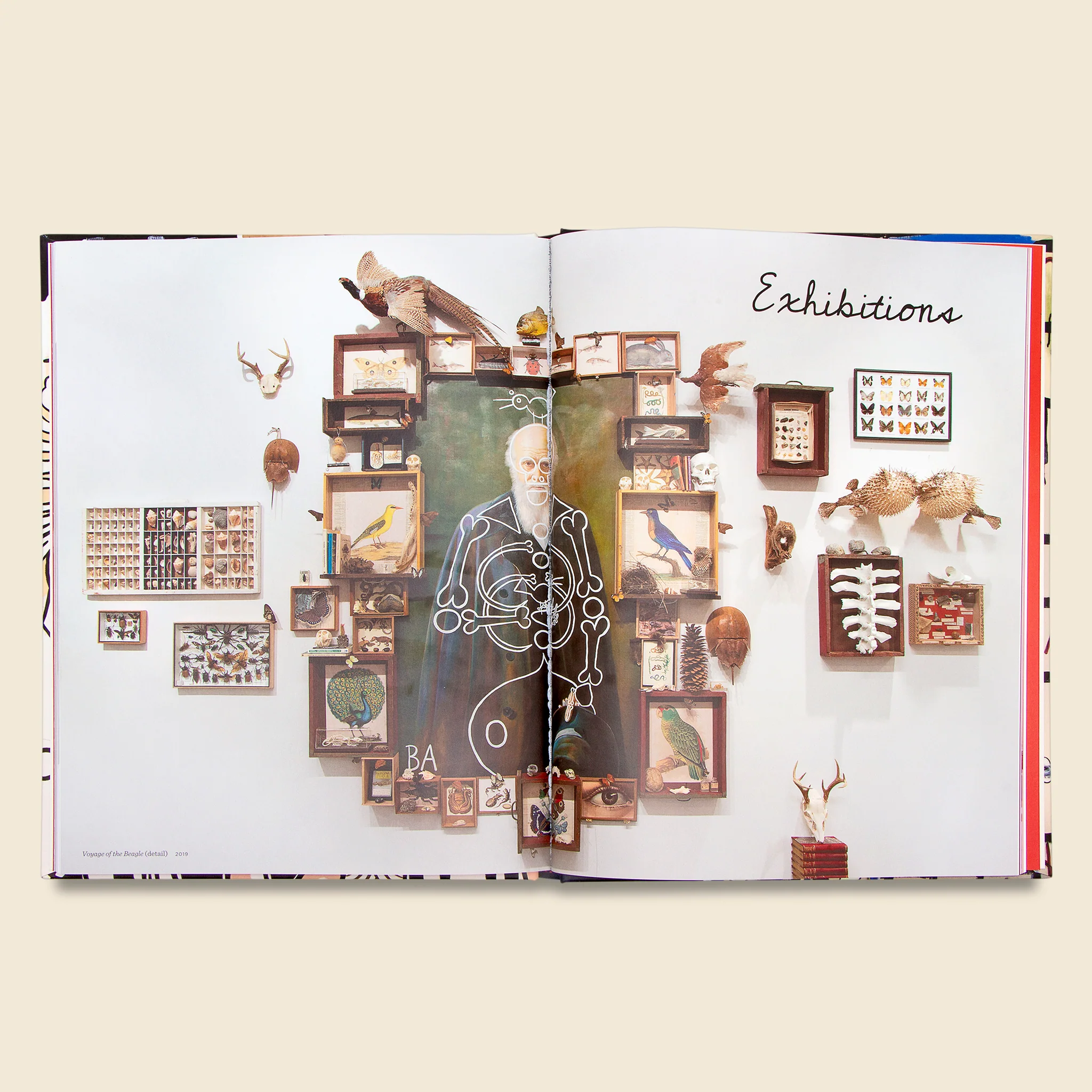 Butch Anthony: Intertwangleism & the Museum of Wonder - Image 3