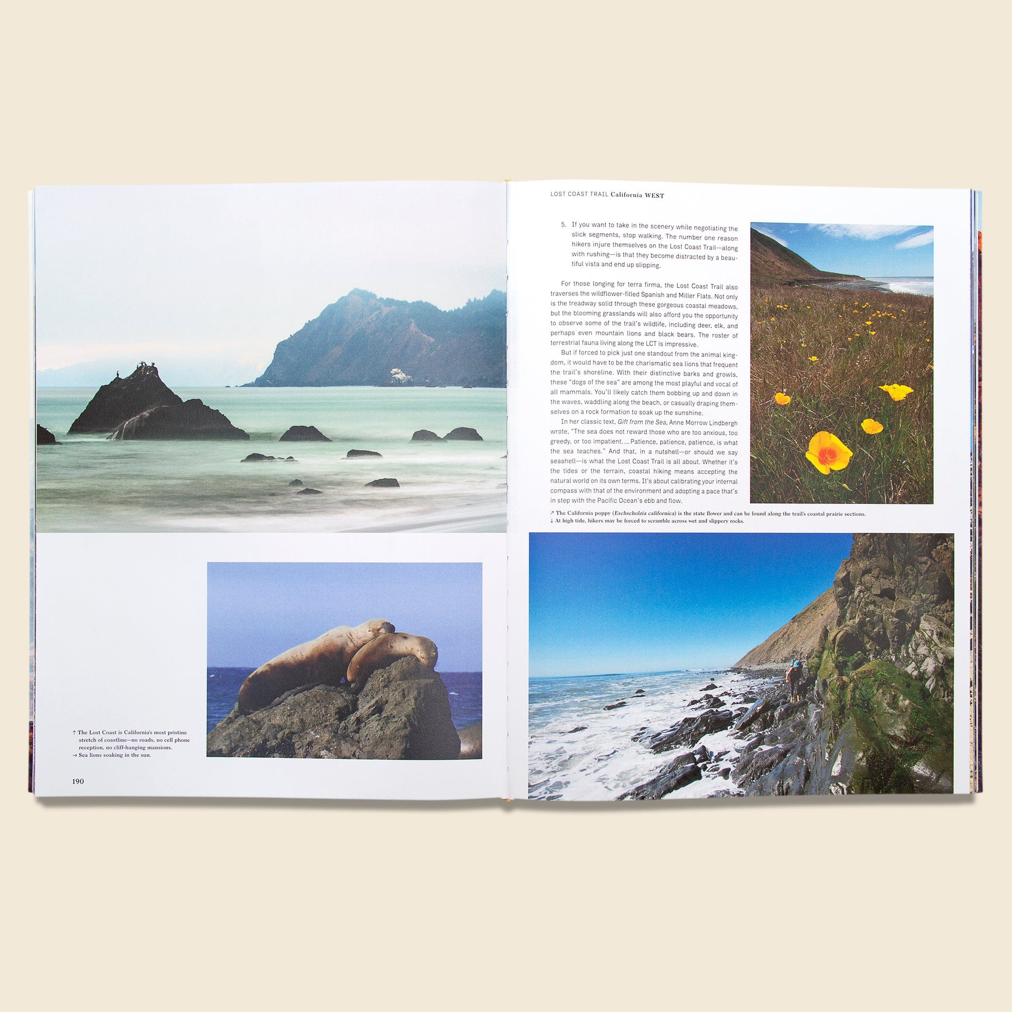 Wanderlust USA: The Great American Hike - Image 2