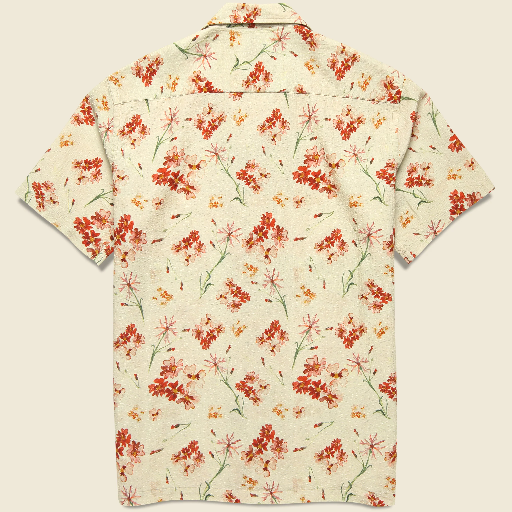 Crammond Shirt - Ecru Floral - Image 3