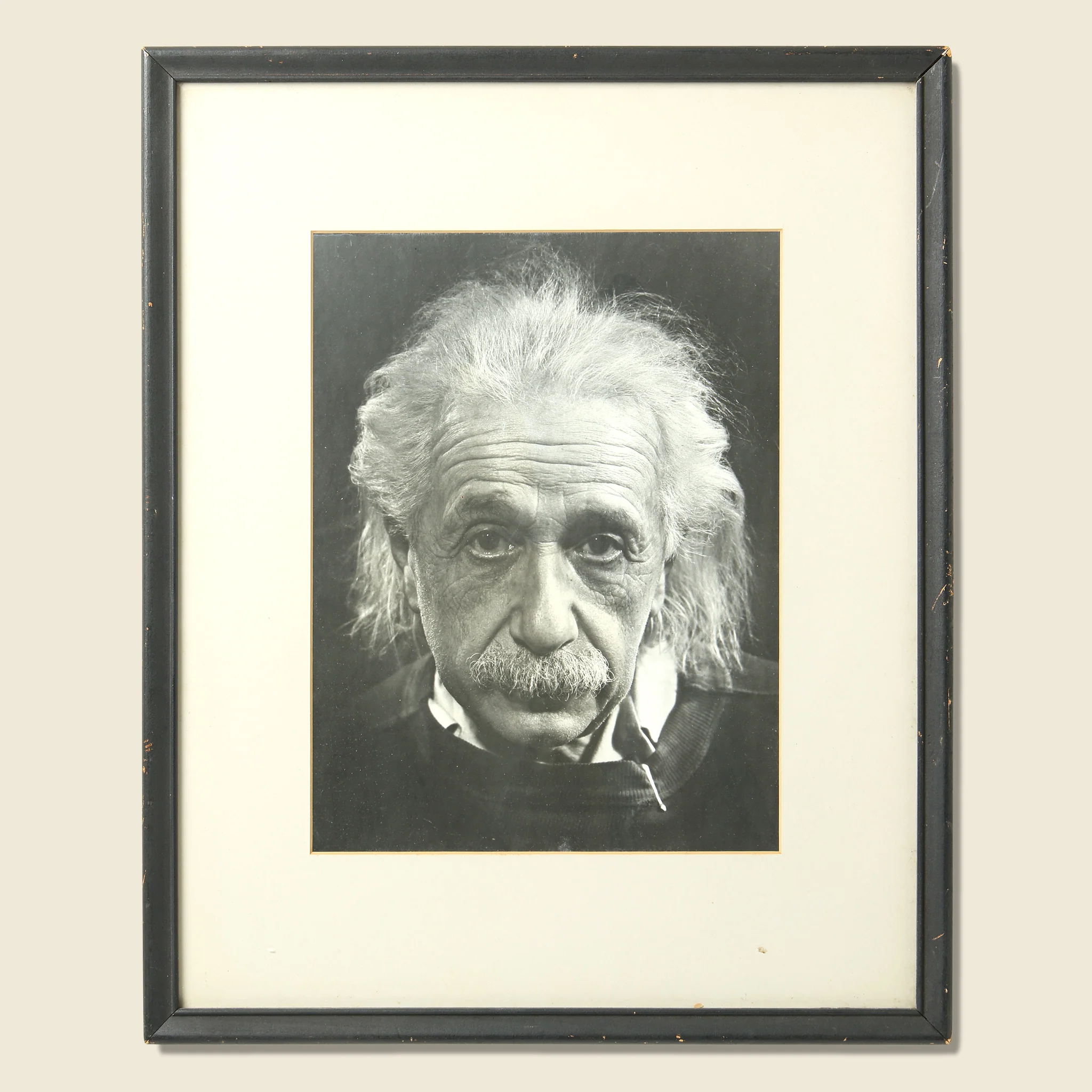 Einstein Portrait