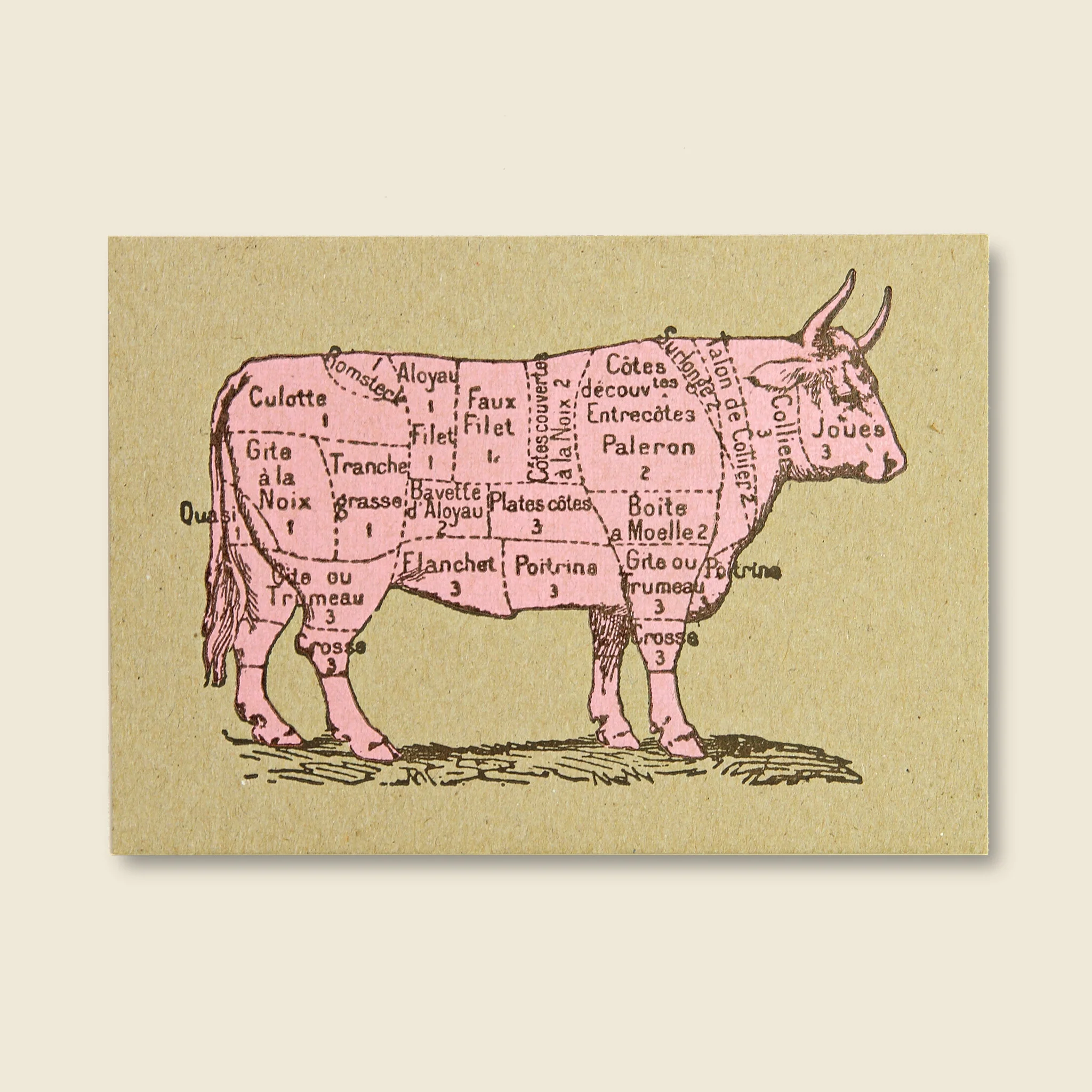 Beef Diagram Postcard