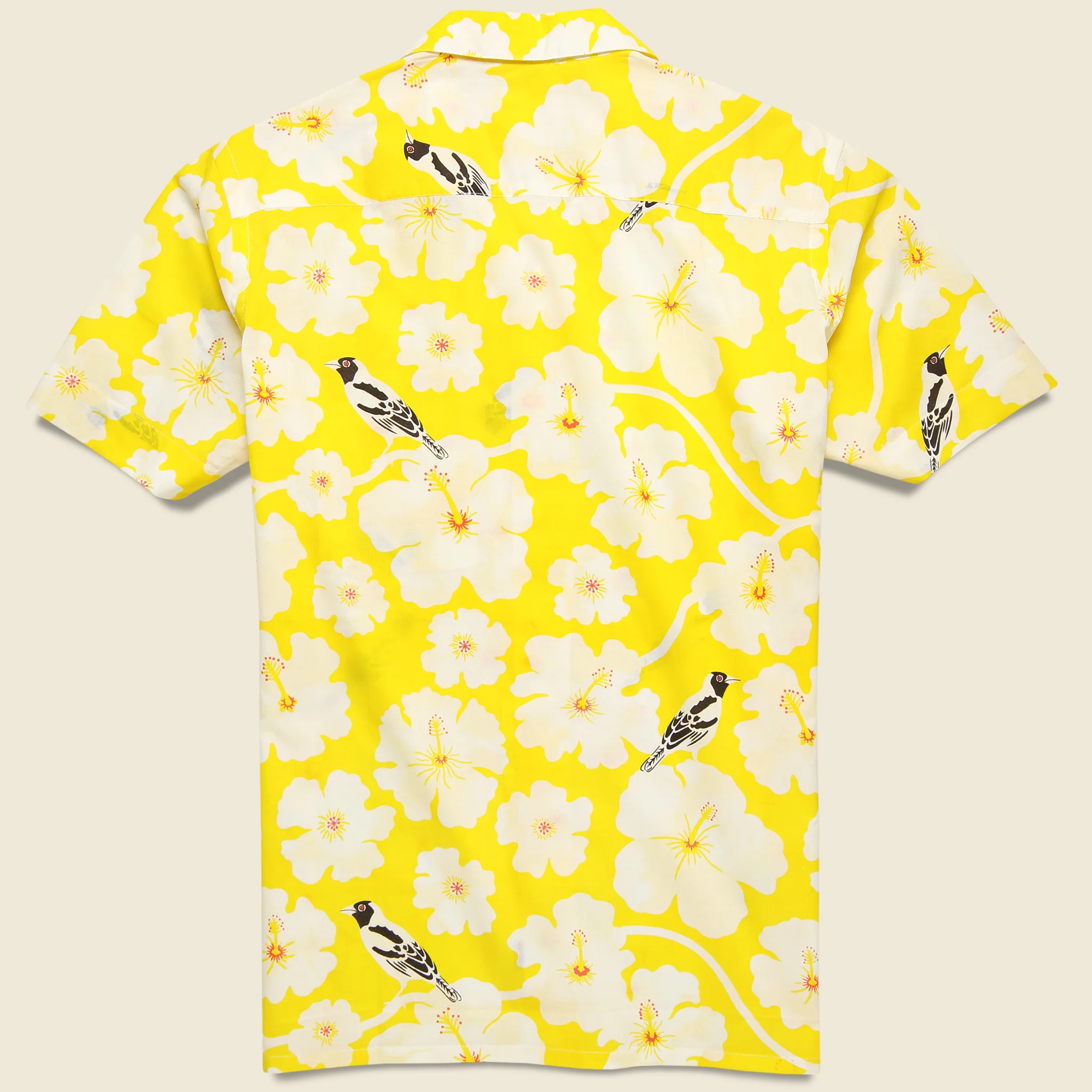 Kendrick Shirt - Yellow - Image 2