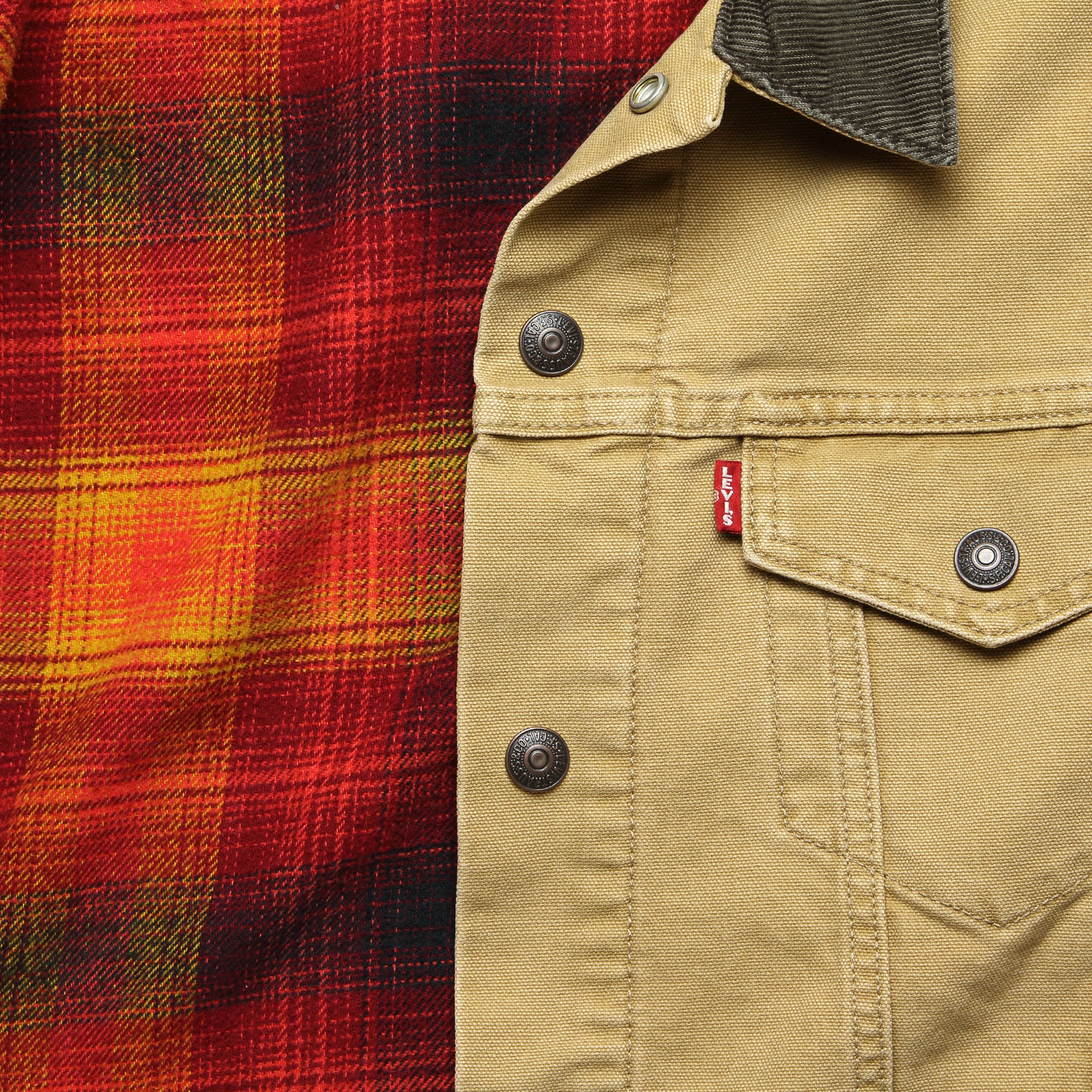 Lined Trucker Jacket - Dijon Canvas - Image 4