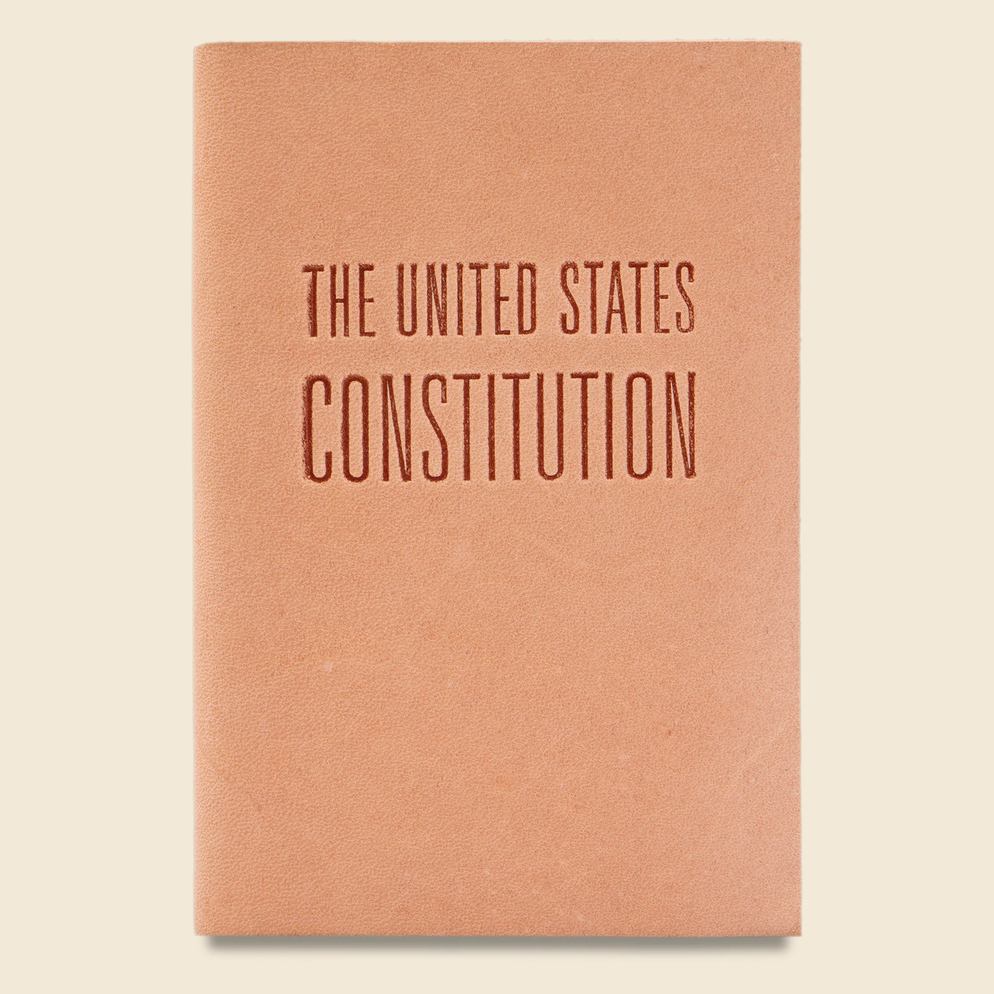 Mini Constitution