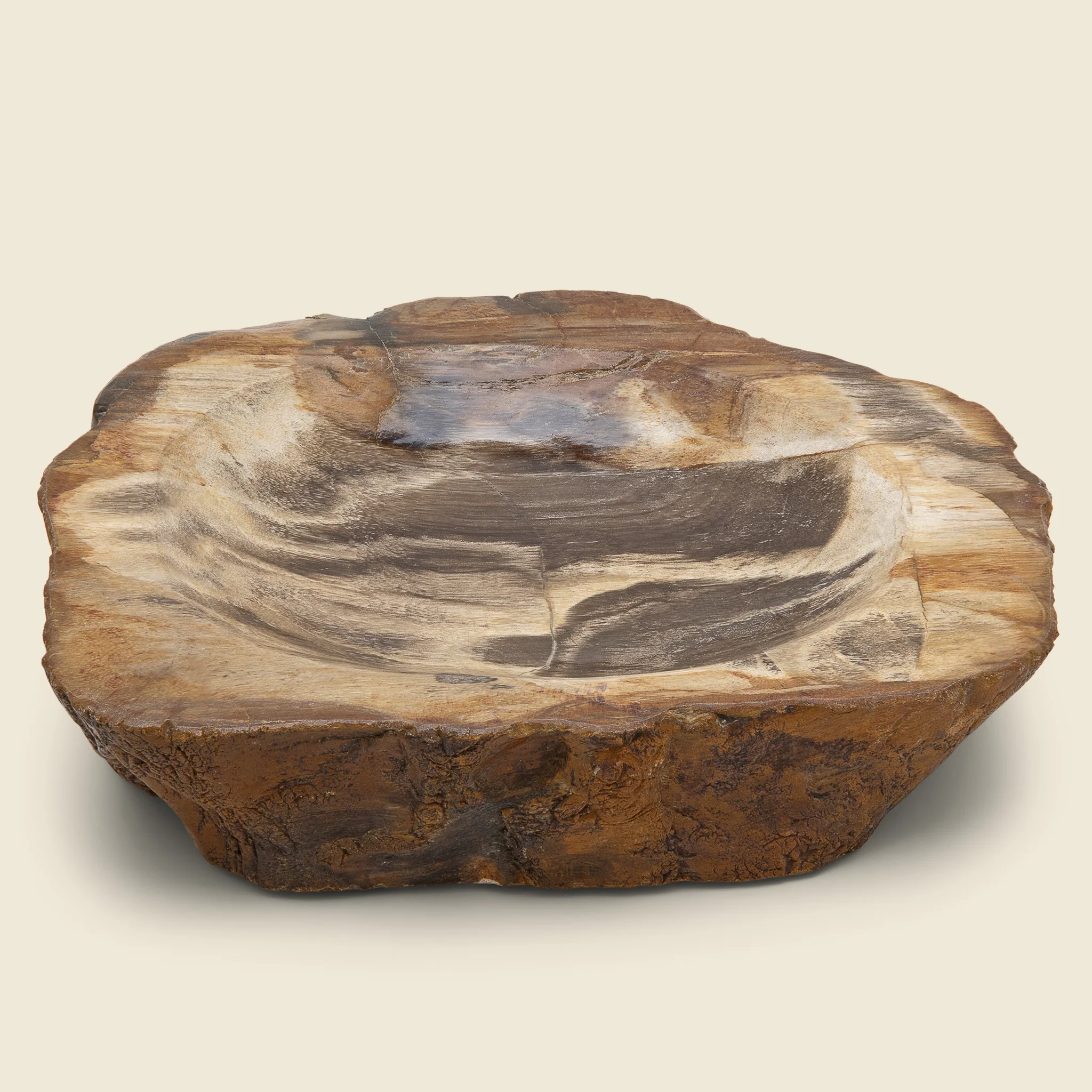 Petrified Wood Bowl #2