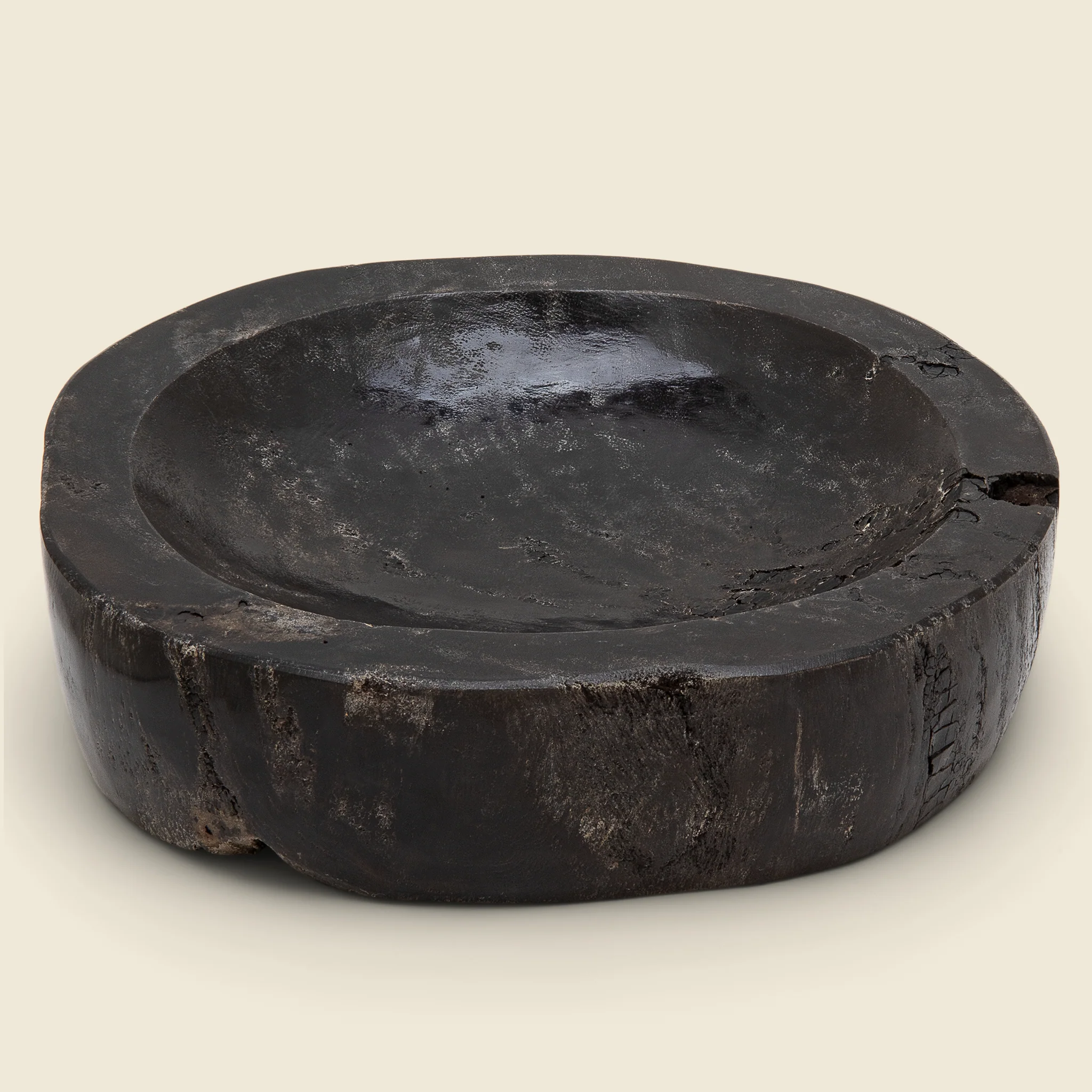 Petrified Wood Bowl #3