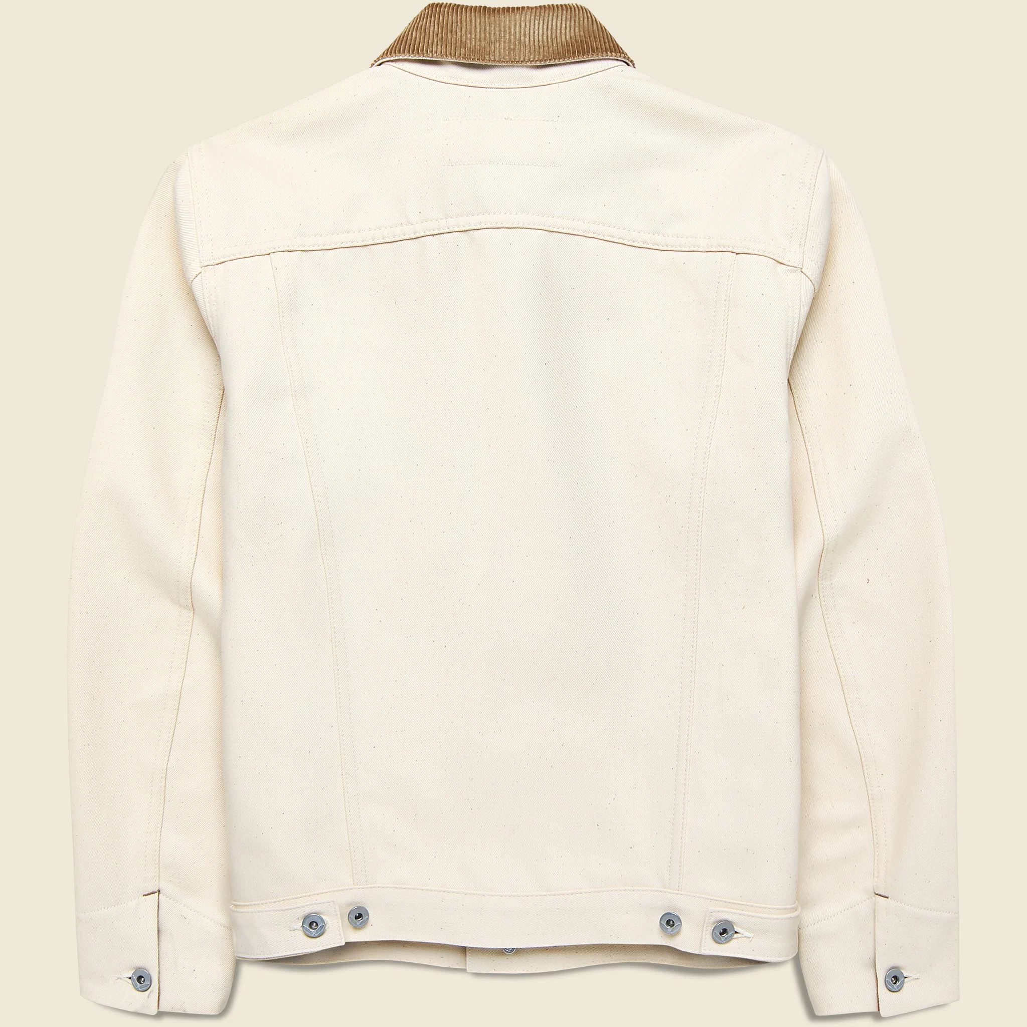 Supply Jacket - Cord Collar Ecru - Image 2