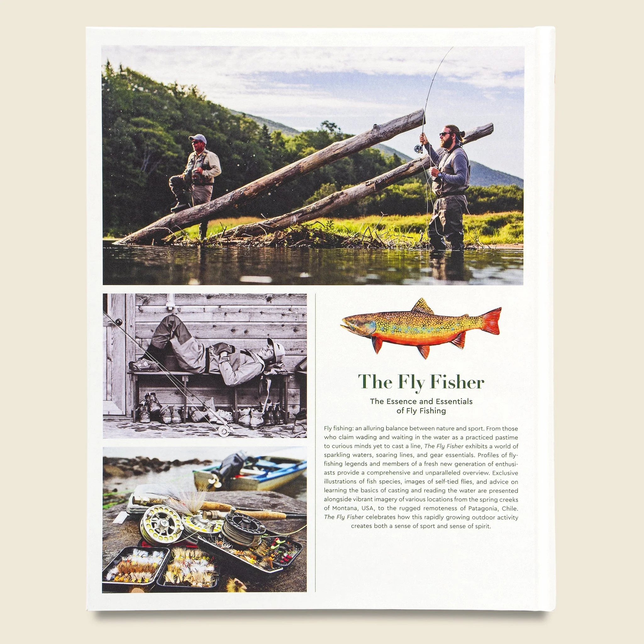 The Fly Fisher: The Essence and Essentials of Fly Fishing - Image 5